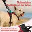 rabbitgoo Hundegeschirr Kleine Hunde, Anti Zug Geschirr mit Kontrolle, No Pull Verstellbar Hundegeschirr Grosse Hunde, Atmungsaktiv Reflexstreifen Brustgeschirr Sichere Führung Schwarz+Rot XS