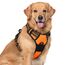 rabbitgoo Hundegeschirr Grosse Hunde, Anti Zug Geschirr mit Kontrolle, No Pull Verstellbar Hundegeschirr Mittelgroße Hunde, Atmungsaktiv Reflexstreifen Brustgeschirr Sichere Führung, Orange, XL