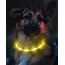 Joytale Leuchthalsband Hund USB Aufladbar Hundehalsband Leuchtend für Große Mittel Kleine Hunde und Welpe, Led Halsband mit 3 Modi für Sicherheit, Gelb