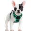 rabbitgoo Hundegeschirr Mittelgroße Hunde, Anti Zug Geschirr mit Kontrolle, No Pull Verstellbar Hundegeschirr Grosse Hunde, Atmungsaktiv Reflexstreifen Brustgeschirr Sichere Führung Schwarz+Grün S