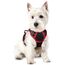 rabbitgoo Hundegeschirr Kleine Hunde, Anti Zug Geschirr mit Kontrolle, No Pull Verstellbar Hundegeschirr Grosse Hunde, Atmungsaktiv Reflexstreifen Brustgeschirr Sichere Führung Schwarz+Rot XS