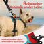 rabbitgoo Hundegeschirr Kleine Hunde, Anti Zug Geschirr mit Kontrolle, No Pull Verstellbar Hundegeschirr Grosse Hunde, Atmungsaktiv Reflexstreifen Brustgeschirr Sichere Führung Rot+Blaugrün XS