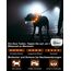 Joytale Leuchthalsband Hund USB Aufladbar Hundehalsband Leuchtend für Große Mittel Kleine Hunde und Welpe, Led Halsband mit 3 Modi für Sicherheit, Orange