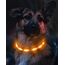 Joytale Leuchthalsband Hund USB Aufladbar Hundehalsband Leuchtend für Große Mittel Kleine Hunde und Welpe, Led Halsband mit 3 Modi für Sicherheit, Orange