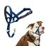 HALTI Kopfgeschirr - Verhindert, dass Ihr Hund an der Leine zieht, Einfache Anpassung, Leicht, mit gepolstertem Nasenriemen, Anti-Zug-Halsband für mittelgroße Hunde (Größe 2, Kobaltblau)