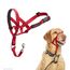 HALTI Kopfgeschirr - Verhindert, dass Ihr Hund an der Leine zieht, Einfache Anpassung, Leicht, mit gepolstertem Nasenriemen, Anti-Zug-Halsband für mittelgroße Hunde (Größe 3, Rot)