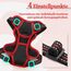 rabbitgoo Hundegeschirr Kleine Hunde, Anti Zug Geschirr mit Kontrolle, No Pull Verstellbar Hundegeschirr Grosse Hunde, Atmungsaktiv Reflexstreifen Brustgeschirr Sichere Führung Schwarz+Rot XS