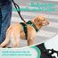 rabbitgoo Hundegeschirr Grosse Hunde, Anti Zug Geschirr mit Kontrolle, No Pull Verstellbar Hundegeschirr Mittelgroße Hunde, Atmungsaktiv Reflexstreifen Brustgeschirr Sichere Führung, Schwarz & Grün, L