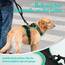 rabbitgoo Hundegeschirr Mittelgroße Hunde, Anti Zug Geschirr mit Kontrolle, No Pull Verstellbar Hundegeschirr Grosse Hunde, Atmungsaktiv Reflexstreifen Brustgeschirr Sichere Führung Schwarz+Grün S
