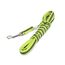 IDC Color & Gray gumierte Leine, 14 mm x 3 m mit Schlaufe, Neon-Grau