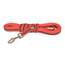 IDC Color & Gray gumierte Leine, 20 mm x 5 m mit Schlaufe, Rot-Grau
