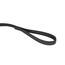 IDC Color & Gray gumierte Leine, 20 mm x 10 m mit Schlaufe, Schwarz-Grau