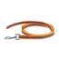 IDC Color & Gray gumierte Leine, 20 mm x 2 m ohne Schlaufe, Orange-Grau