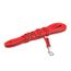 IDC Color & Gray gumierte Leine, 14 mm x 5 m mit Schlaufe, Rot-Grau