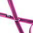 IDC Color & Gray gumierte Leine, 20 mm x 1,8 m mit Schlaufe und D-Ring, Pink-Grau