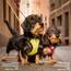 Vest Harness curli Clasp Air-Mesh Light-Tan L
