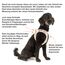 Vest Harness curli Clasp Air-Mesh Red S