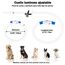 Nepfaivy Leuchthalsband Hund USB Aufladbar - Wasserdichtes Hundehalsband Leuchtend mit 3 Beleuchtungsmodi, Längenverstellbareres LED Halsband für Mittlere und Große Hunde