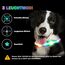 Nepfaivy Leuchthalsband Hund USB Aufladbar - Wasserdichtes Hundehalsband Leuchtend mit Verstellbarer Länge, LED Halsband für Hunde mit 3 Beleuchtungsmodi für Sicherheit, Mehrfarbig
