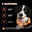 Nepfaivy Leuchthalsband Hund USB Aufladbar - Wasserdichtes Hundehalsband Leuchtend mit Verstellbarer Länge, LED Halsband für Hunde mit 3 Beleuchtungsmodi für Sicherheit, Orange