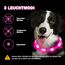 Nepfaivy Leuchthalsband Hund USB Aufladbar - Wasserdichtes Hundehalsband Leuchtend mit Verstellbarer Länge, LED Halsband für Hunde mit 3 Beleuchtungsmodi für Sicherheit, Rosa