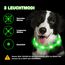 Nepfaivy Leuchthalsband Hund USB Aufladbar - Wasserdichtes Hundehalsband Leuchtend mit Verstellbarer Länge, LED Halsband für Hunde mit 3 Beleuchtungsmodi für Sicherheit, Rot