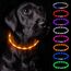 Nepfaivy Leuchthalsband Hund USB Aufladbar - Wasserdichtes Hundehalsband Leuchtend mit Verstellbarer Länge, LED Halsband für Hunde mit 3 Beleuchtungsmodi für Sicherheit, Orange