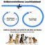 Nepfaivy Leuchthalsband Hund USB Aufladbar - Wasserdichtes Hundehalsband Leuchtend mit Verstellbarer Länge, LED Halsband für Hunde mit 3 Beleuchtungsmodi für Sicherheit, Blau