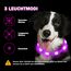 Nepfaivy Leuchthalsband Hund USB Aufladbar - Wasserdichtes Hundehalsband Leuchtend mit Verstellbarer Länge, LED Halsband für Hunde mit 3 Beleuchtungsmodi für Sicherheit, Lila