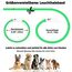 Nepfaivy Leuchthalsband Hund USB Aufladbar - Wasserdichtes Hundehalsband Leuchtend mit Verstellbarer Länge, LED Halsband für Hunde mit 3 Beleuchtungsmodi für Sicherheit, Rot