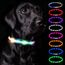 Nepfaivy Leuchthalsband Hund USB Aufladbar - Wasserdichtes Hundehalsband Leuchtend mit Verstellbarer Länge, LED Halsband für Hunde mit 3 Beleuchtungsmodi für Sicherheit, Mehrfarbig