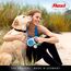 flexi® Comfort L Gurt 5 m blau, Roll-Leine für Hunde bis 60 kg
