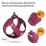 Vest Harness curli Clasp Air-Mesh Ruby 2XS