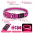 Leuchthalsband Hund, Colaseeme LED Hunde Leuchthalsband, Wasserdicht Hundehalsband Leuchtend, HundeleuchthalsbäNder Aufladbar für Pet Night Walking Safety, rosa M