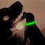 YFbrite Leuchtendes Hundehalsband, wiederaufladbares LED-Hundehalsbands, blinkendes verstellbares reflektierendes Hundehalsbands, Sicherheit leuchtet bei Nacht (Grün, L)