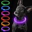 iTayga Leuchthalsband Hund, USB-aufladbar und Wasserdicht Hundehalsband, Verstellbare Länge, Sichtweite 500M, Sicherheitshalsband für Hunde und Katzen, 3 Modi, Lila