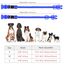 YFbrite Leuchtendes Hundehalsband, wiederaufladbares LED-Hundehalsband, verstellbares reflektierendes Hundehalsbands, Sicherheit leuchtet bei Nacht (Blau, L)