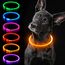 iTayga leuchthalsband Hund, USB-aufladbar und wasserdicht hundehalsband, verstellbare Länge, Sicherheitshalsband für Hunde und Katzen, 3 Modi, Orange