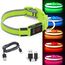 YFbrite Leuchtendes Hundehalsband, wiederaufladbares LED-Hundehalsbands, blinkendes verstellbares reflektierendes Hundehalsbands, Sicherheit leuchtet bei Nacht (Grün, S)