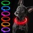 iTayga leuchthalsband Hund, USB-aufladbar und wasserdicht hundehalsband, verstellbare Länge, Sicherheitshalsband für Hunde und Katzen, 3 Modi, Rot