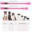 YFbrite Leuchtendes Hundehalsband, wiederaufladbares LED-Hundehalsbands, blinkendes verstellbares reflektierendes Hundehalsbands, Sicherheit leuchtet bei Nacht (Rosa, M)