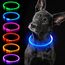iTayga leuchthalsband Hund, USB-aufladbar und wasserdicht hundehalsband, verstellbare Länge, Sicherheitshalsband für Hunde und Katzen, 3 Modi, Blau
