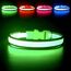 YFbrite Leuchtendes Hundehalsband, wiederaufladbares LED-Hundehalsbands, blinkendes verstellbares reflektierendes Hundehalsbands, Sicherheit leuchtet bei Nacht (Grün, S)