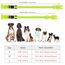 YFbrite Leuchtendes Hundehalsband, LED-Hundehalsband, Voll Beleuchtetes Blinkendes Hundehalsband, Voll Einstellbares Reflektierendes Hundehalsband, Sicherheit Leuchtet Nachts für Alle Hunde (Grün, M)