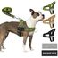 Eyein Hundegeschirr mit Leine für große mittelgroße Hunde, Weich gepolsterter Brustgeschirr mit 2 Leinenclips, Reflektierend & Leichtgewicht Anti Zug Geschirr für Spaziergänge Training, Grün, M