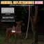 Eyein Hundegeschirr mit Leine für große mittelgroße Hunde, Weich gepolsterter Brustgeschirr mit 2 Leinenclips, Reflektierend & Leichtgewicht Anti Zug Geschirr für Spaziergänge Training, Rosa, L