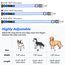 Visinite Leuchtendes LED-Hundehalsband - Wiederaufladbar, Wasserdicht, Reflektierend, Vollständig Verstellbar, Blinkend für Mittelgroße und Große Hunde