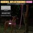 Eyein Hundegeschirr mit Leine für große mittelgroße Hunde, Weich gepolsterter Brustgeschirr mit 2 Leinenclips, Reflektierend & Leichtgewicht Anti Zug Geschirr für Spaziergänge Training, Magenta, M