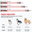 Visinite Leuchtendes LED-Hundehalsband, Wiederaufladbar, Wasserdicht, Reflektierend, Vollständig Verstellbar, Blinkend, für Mittelgroße und Große Hunde, Rot, Größe M
