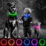 iTayga leuchthalsband Hund, USB-aufladbar und wasserdicht hundehalsband, verstellbare Länge, Sicherheitshalsband für Hunde und Katzen, 3 Modi, Rosa